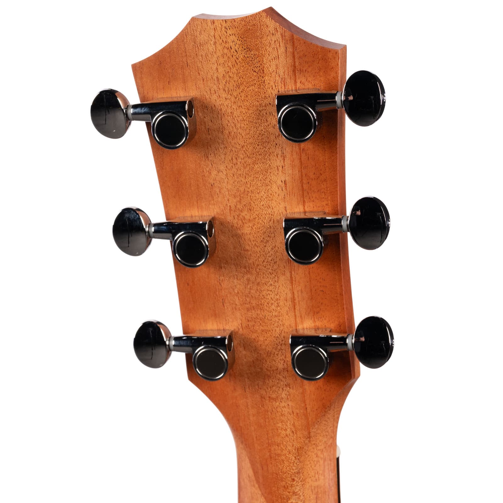 TAYLOR-BBTE-WALNUT-USED-2205286476-back-head