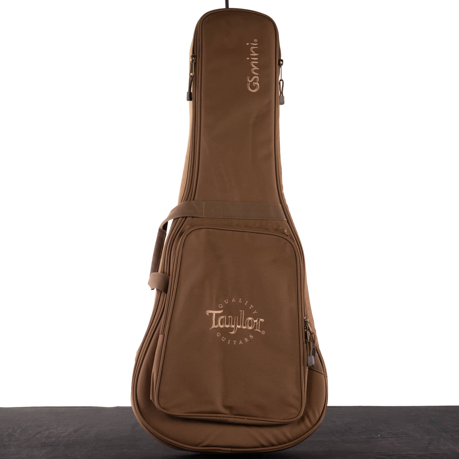 taylor-gs-mini-case