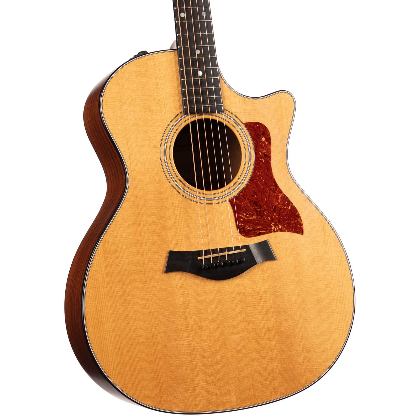 TAYLOR-314CE-2010-WOHSC---1109010013---U-angle-elft