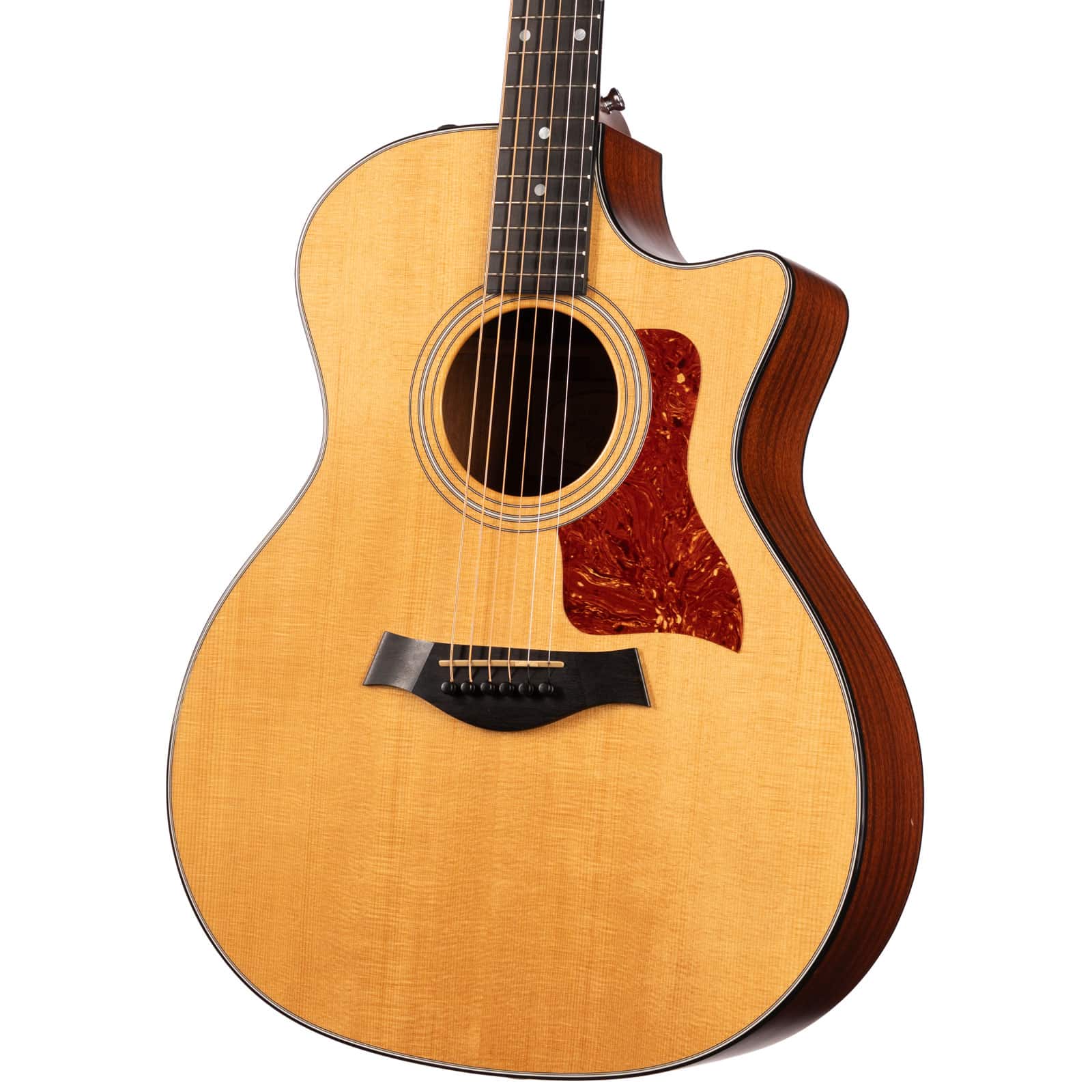 TAYLOR-314CE-2010-WOHSC---1109010013---U-angle-right